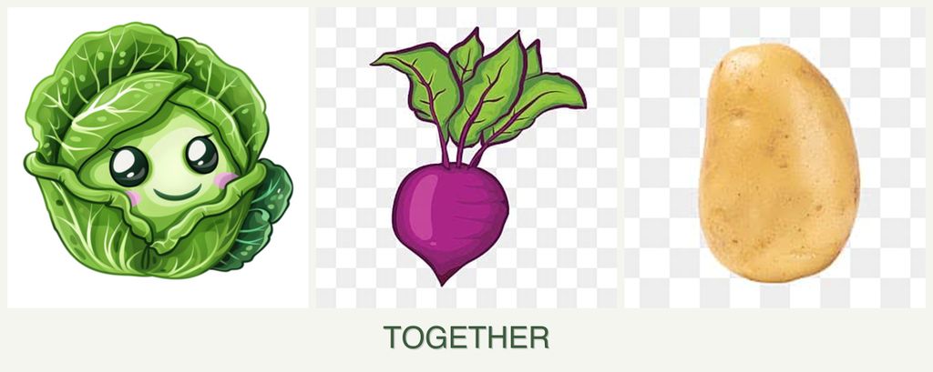 Can you plant cabbage, beets and potatoes together?