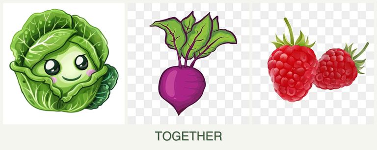 Can you plant cabbage, beets and raspberries together?