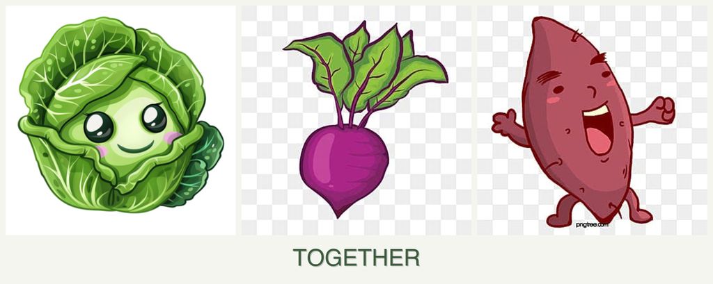Can you plant cabbage, beets and sweet potatoes together?