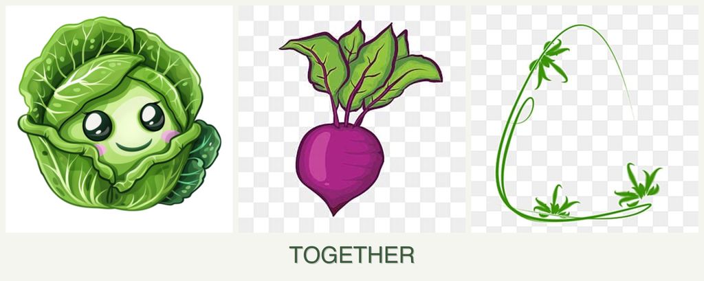 Can you plant cabbage, beets and tarragon together?