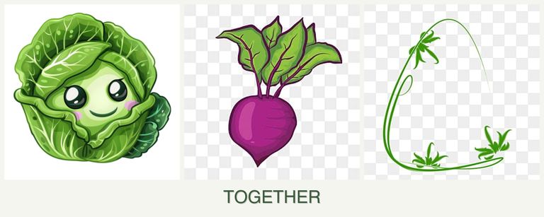 Can you plant cabbage, beets and tarragon together?