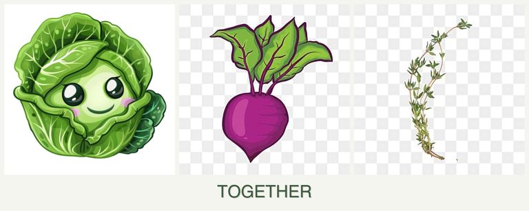 Can you plant cabbage, beets and thyme together?