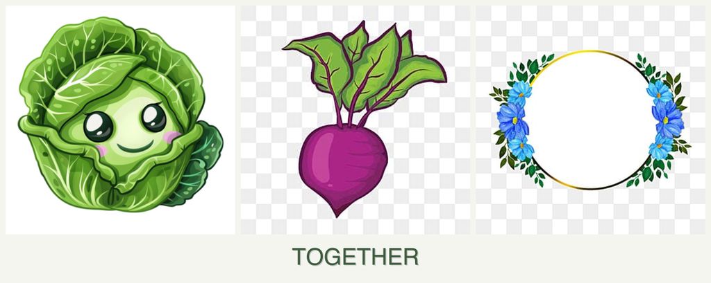 Can you plant cabbage, beets and zinnias together?