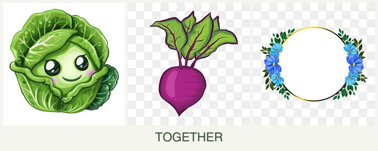 Can you plant cabbage, beets and zinnias together?