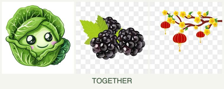 Can you plant cabbage, blackberries and apricots together?