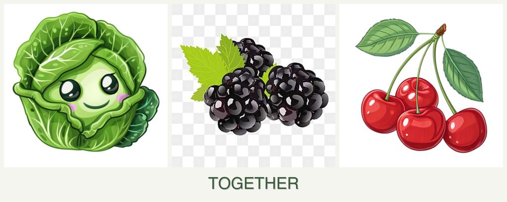 Can you plant cabbage, blackberries and cherries together?