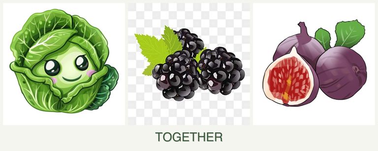 Can you plant cabbage, blackberries and figs together?