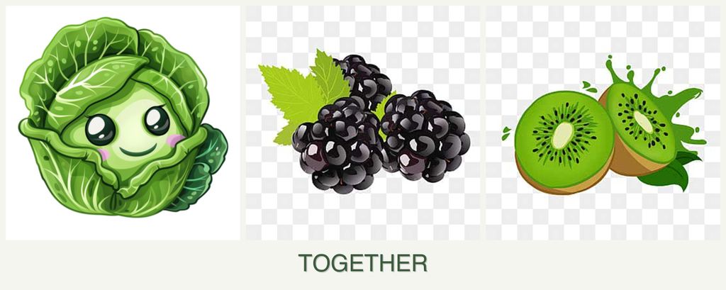 Can you plant cabbage, blackberries and kiwi together?