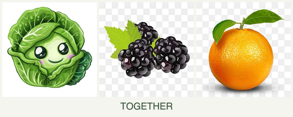 Can you plant cabbage, blackberries and oranges together?