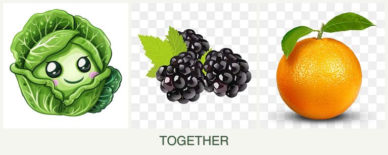 Can you plant cabbage, blackberries and oranges together?