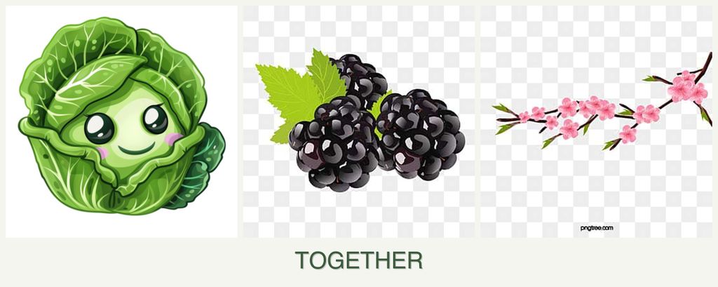 Can you plant cabbage, blackberries and peaches together?