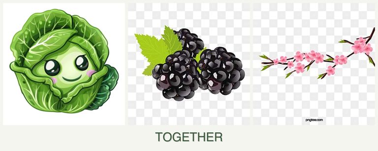 Can you plant cabbage, blackberries and peaches together?