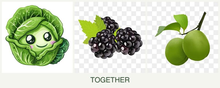 Can you plant cabbage, blackberries and plums together?