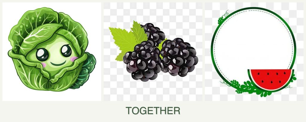Can you plant cabbage, blackberries and watermelons together?