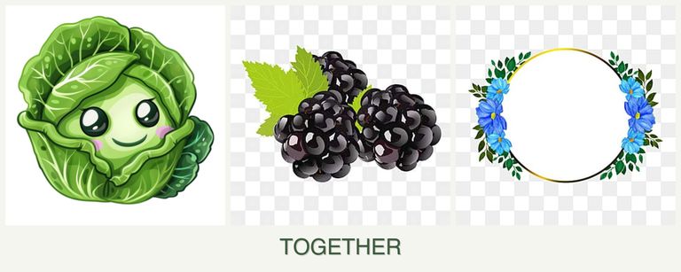 Can you plant cabbage, blackberries and zinnias together?