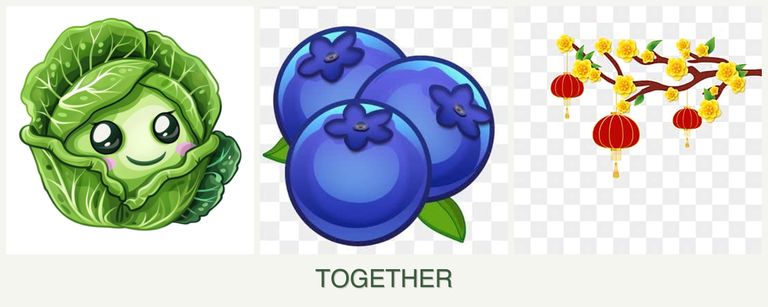 Can you plant cabbage, blueberries and apricots together?