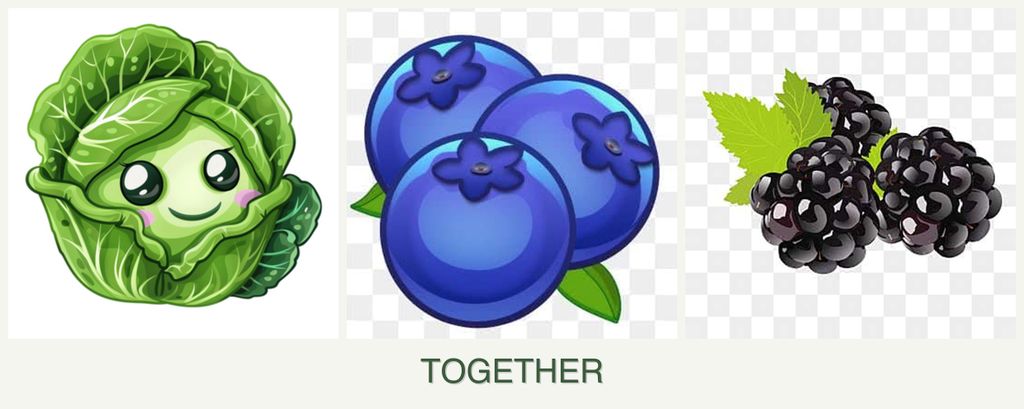 Can you plant cabbage, blueberries and blackberries together?