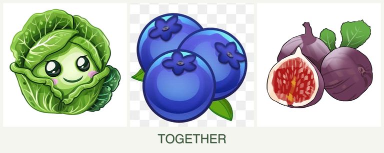 Can you plant cabbage, blueberries and figs together?