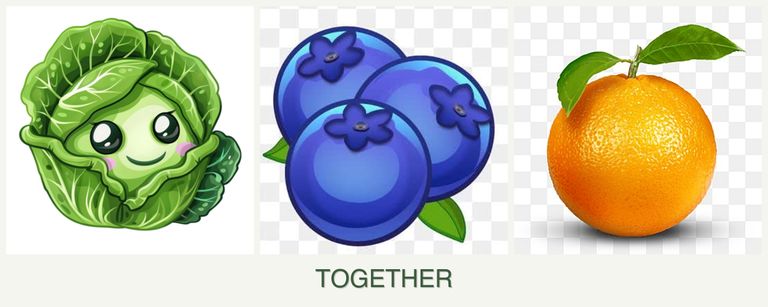Can you plant cabbage, blueberries and oranges together?