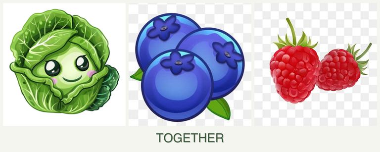 Can you plant cabbage, blueberries and raspberries together?
