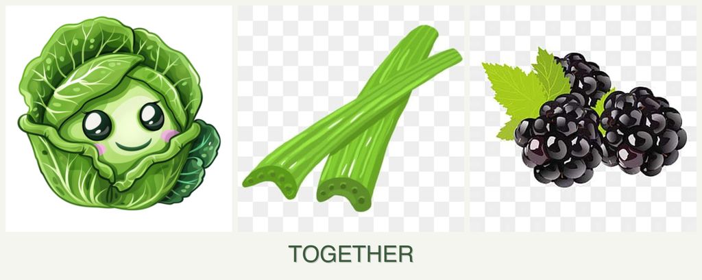 Can you plant cabbage, celery and blackberries together?