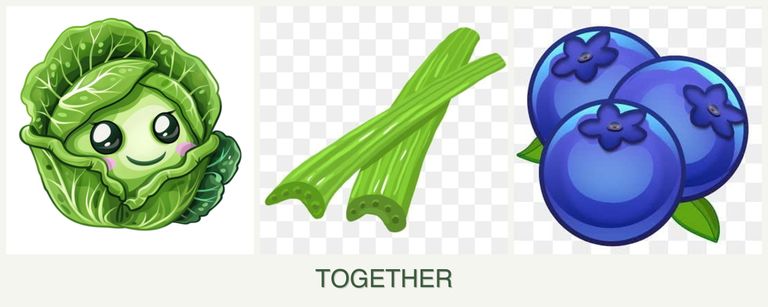 Can you plant cabbage, celery and blueberries together?