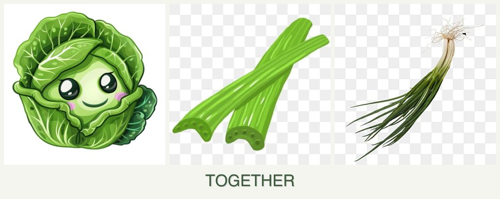 Can you plant cabbage, celery and chives together?