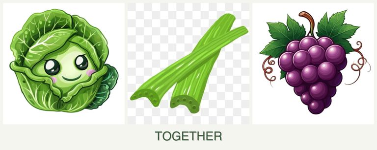 Can you plant cabbage, celery and grapes together?