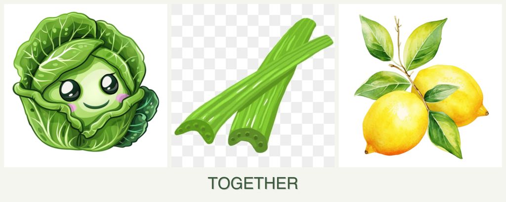 Can you plant cabbage, celery and lemons together?