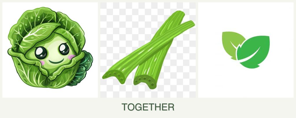 Can you plant cabbage, celery and mint together?