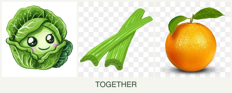 Can you plant cabbage, celery and oranges together?