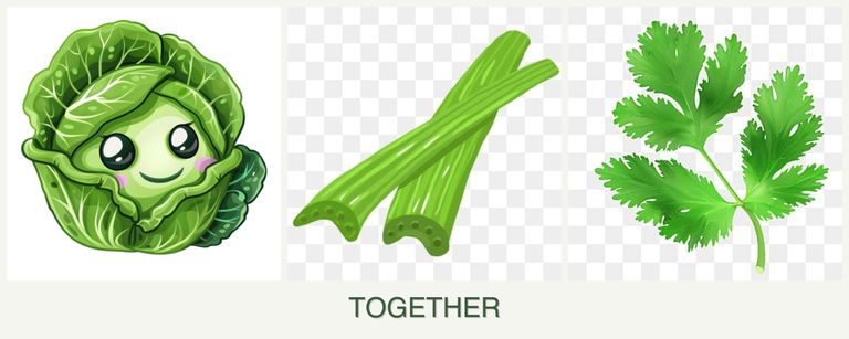 Can you plant cabbage, celery and parsley together?