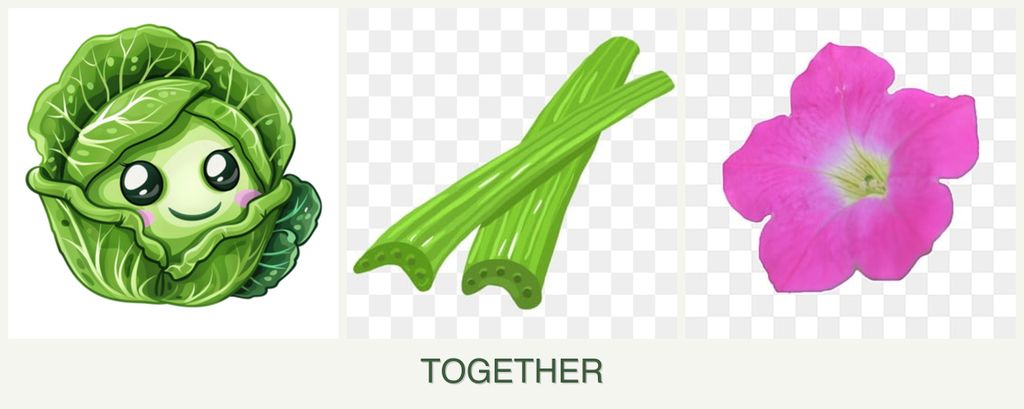 Can you plant cabbage, celery and petunias together?