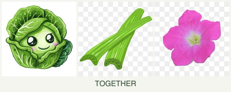 Can you plant cabbage, celery and petunias together?