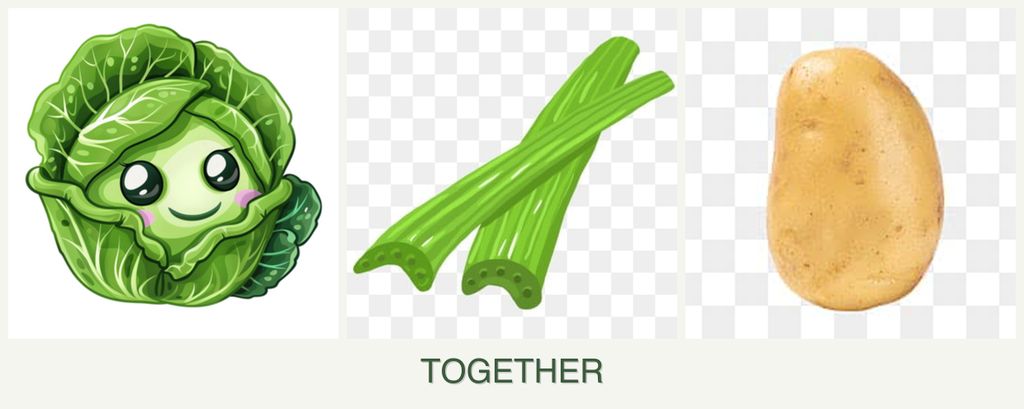 Can you plant cabbage, celery and potatoes together?