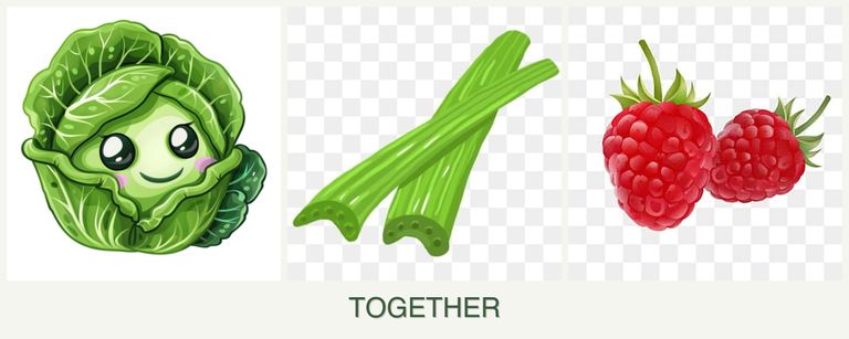 Can you plant cabbage, celery and raspberries together?