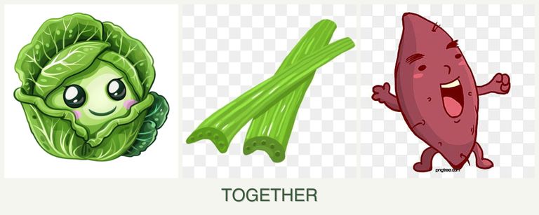 Can you plant cabbage, celery and sweet potatoes together?