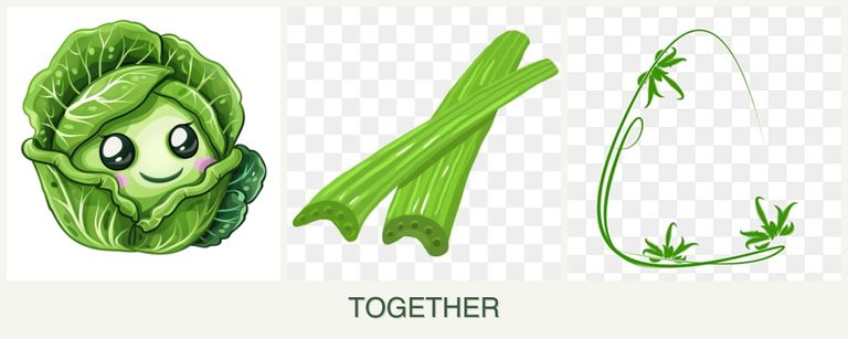 Can you plant cabbage, celery and tarragon together?