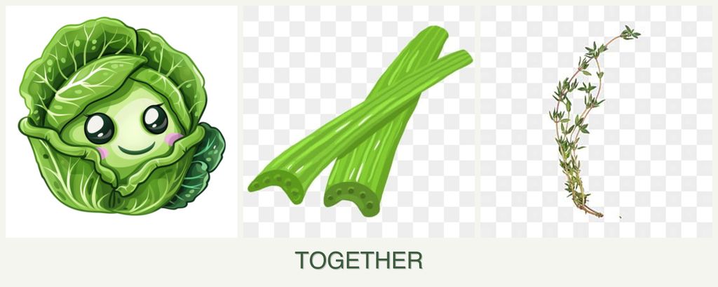 Can you plant cabbage, celery and thyme together?