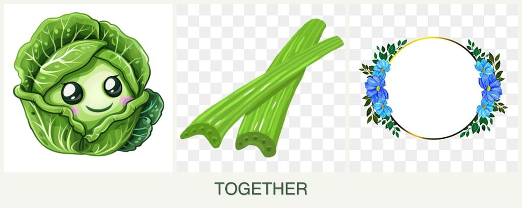 Can you plant cabbage, celery and zinnias together?