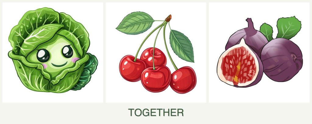 Can you plant cabbage, cherries and figs together?
