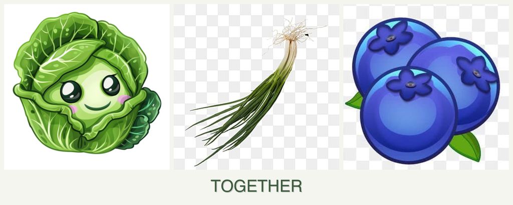 Can you plant cabbage, chives and blueberries together?