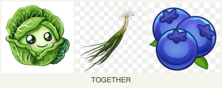 Can you plant cabbage, chives and blueberries together?