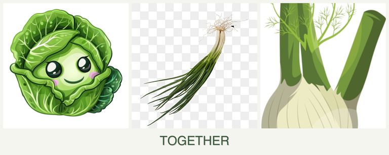 Can you plant cabbage, chives and fennel together?