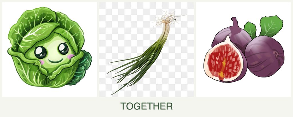Can you plant cabbage, chives and figs together?