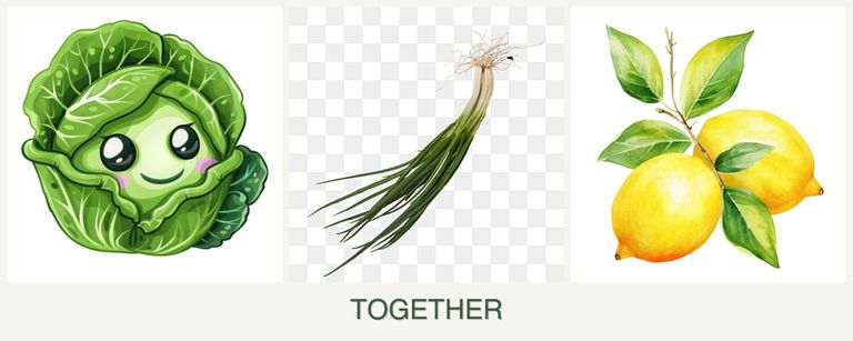 Can you plant cabbage, chives and lemons together?
