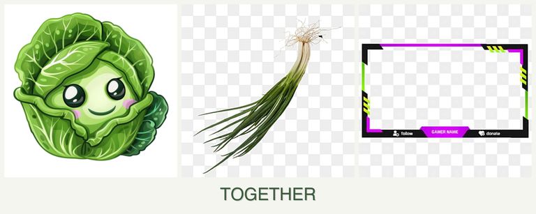 Can you plant cabbage, chives and limes together?