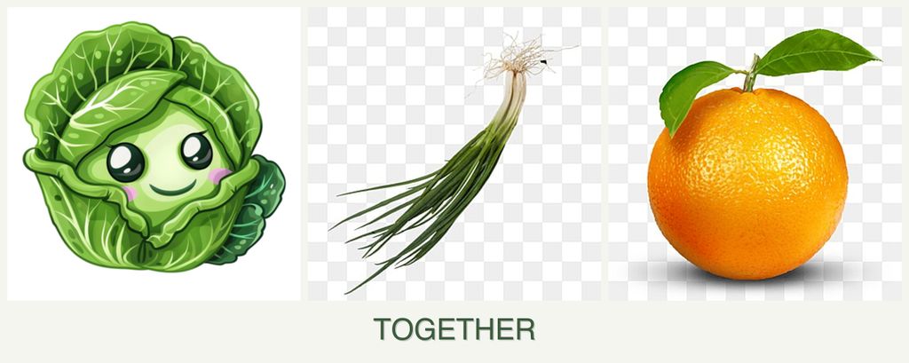 Can you plant cabbage, chives and oranges together?