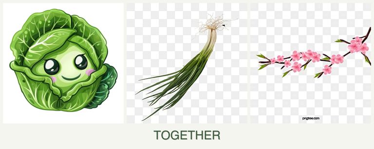 Can you plant cabbage, chives and peaches together?