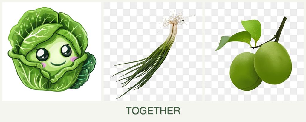 Can you plant cabbage, chives and plums together?